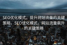 SEO优化模式，提升网站流量的关键策略，SEO优化模式，网站流量飙升的关键策略