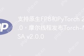 支持原生FP8和PyTorch 2.5.0，摩尔线程发布Torch-MUSA v2.0.0