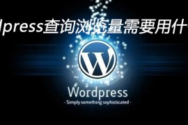 wordpress查询浏览量需要用什么代码