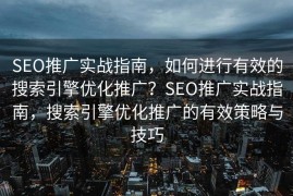 SEO推广实战指南，如何进行有效的搜索引擎优化推广？SEO推广实战指南，搜索引擎优化推广的有效策略与技巧