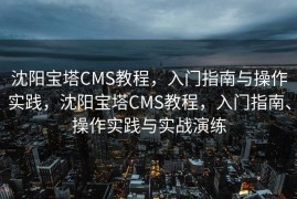 沈阳宝塔CMS教程，入门指南与操作实践，沈阳宝塔CMS教程，入门指南、操作实践与实战演练