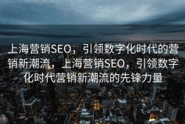上海营销SEO，引领数字化时代的营销新潮流，上海营销SEO，引领数字化时代营销新潮流的先锋力量