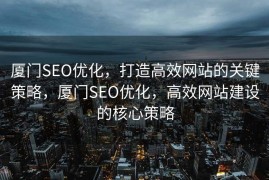 厦门SEO优化，打造高效网站的关键策略，厦门SEO优化，高效网站建设的核心策略