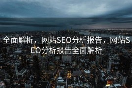 全面解析，网站SEO分析报告，网站SEO分析报告全面解析