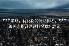 SEO策略，优化你的网站排名，SEO策略，提升网站排名优化之道