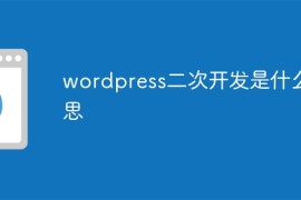 wordpress二次开发是什么意思