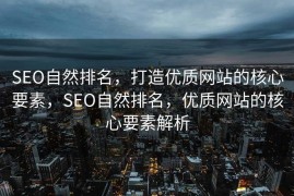 SEO自然排名，打造优质网站的核心要素，SEO自然排名，优质网站的核心要素解析