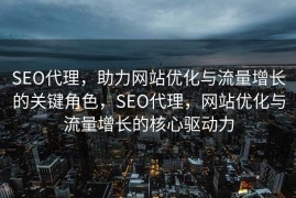 SEO代理，助力网站优化与流量增长的关键角色，SEO代理，网站优化与流量增长的核心驱动力