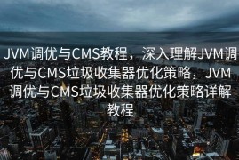 JVM调优与CMS教程，深入理解JVM调优与CMS垃圾收集器优化策略，JVM调优与CMS垃圾收集器优化策略详解教程