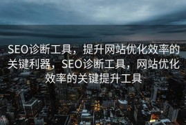 SEO诊断工具，提升网站优化效率的关键利器，SEO诊断工具，网站优化效率的关键提升工具