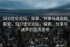 SEO优化论坛，探索、分享与进步的殿堂，SEO优化论坛，探索、分享与进步的交流圣地