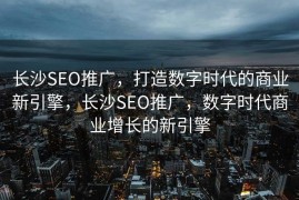 长沙SEO推广，打造数字时代的商业新引擎，长沙SEO推广，数字时代商业增长的新引擎