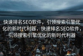 快速排名SEO软件，引领搜索引擎优化的新时代利器，快速排名SEO软件，引领搜索引擎优化的新时代利器
