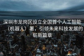 深圳市龙岗区设立全国首个人工智能（机器人）署，引领未来科技发展的崭新篇章