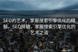 SEO的艺术，掌握搜索引擎优化的精髓，SEO精髓，掌握搜索引擎优化的艺术之道