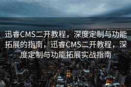 迅睿CMS二开教程，深度定制与功能拓展的指南，迅睿CMS二开教程，深度定制与功能拓展实战指南