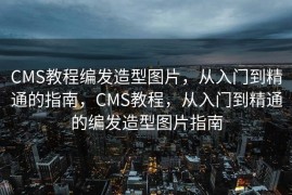 CMS教程编发造型图片，从入门到精通的指南，CMS教程，从入门到精通的编发造型图片指南