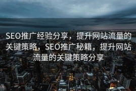 SEO推广经验分享，提升网站流量的关键策略，SEO推广秘籍，提升网站流量的关键策略分享