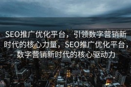 SEO推广优化平台，引领数字营销新时代的核心力量，SEO推广优化平台，数字营销新时代的核心驱动力