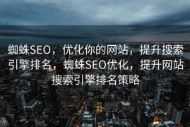 蜘蛛SEO，优化你的网站，提升搜索引擎排名，蜘蛛SEO优化，提升网站搜索引擎排名策略