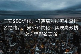 广安SEO优化，打造高效搜索引擎排名之路，广安SEO优化，实现高效搜索引擎排名之路
