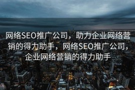 网络SEO推广公司，助力企业网络营销的得力助手，网络SEO推广公司，企业网络营销的得力助手