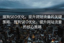 搜狗SEO优化，提升网站流量的关键策略，搜狗SEO优化，提升网站流量的核心策略