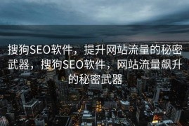 搜狗SEO软件，提升网站流量的秘密武器，搜狗SEO软件，网站流量飙升的秘密武器