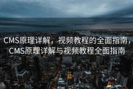 CMS原理详解，视频教程的全面指南，CMS原理详解与视频教程全面指南