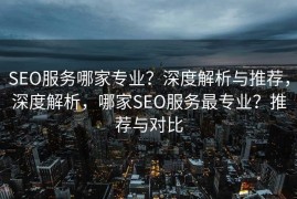 SEO服务哪家专业？深度解析与推荐，深度解析，哪家SEO服务最专业？推荐与对比