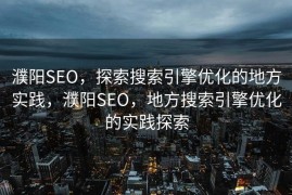 濮阳SEO，探索搜索引擎优化的地方实践，濮阳SEO，地方搜索引擎优化的实践探索
