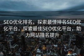SEO优化排名，探索最佳排名SEO优化平台，探索最佳SEO优化平台，助力网站排名提升