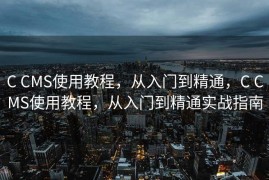 C CMS使用教程，从入门到精通，C CMS使用教程，从入门到精通实战指南