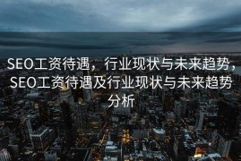 SEO工资待遇，行业现状与未来趋势，SEO工资待遇及行业现状与未来趋势分析