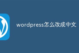 wordpress怎么改成中文