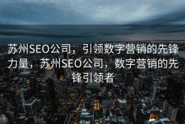 苏州SEO公司，引领数字营销的先锋力量，苏州SEO公司，数字营销的先锋引领者