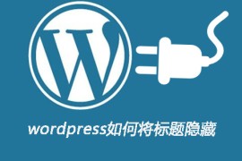 wordpress如何将标题隐藏