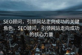 SEO顾问，引领网站走向成功的关键角色，SEO顾问，引领网站走向成功的核心力量