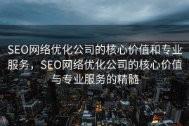 SEO网络优化公司的核心价值和专业服务，SEO网络优化公司的核心价值与专业服务的精髓