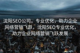 沈阳SEO公司，专业优化，助力企业网络营销飞跃，沈阳SEO专业优化，助力企业网络营销飞跃发展