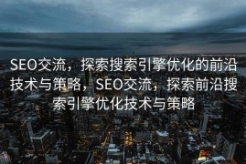 SEO交流，探索搜索引擎优化的前沿技术与策略，SEO交流，探索前沿搜索引擎优化技术与策略