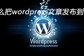 怎么把wordpress文章发布到网站