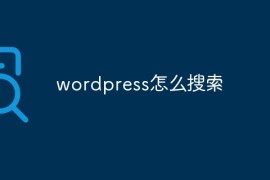 wordpress怎么搜索