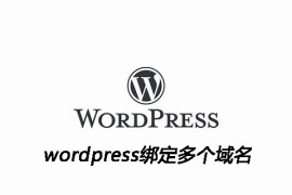 wordpress绑定多个域名