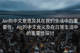 Air的中文意思及其在我们生活中的重要性，Air的中文含义及在日常生活中的重要性探讨