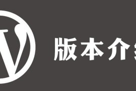 WordPress 5.2.2是最新版本吗