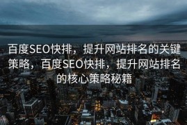 百度SEO快排，提升网站排名的关键策略，百度SEO快排，提升网站排名的核心策略秘籍