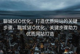聊城SEO优化，打造优质网站的关键步骤，聊城SEO优化，关键步骤助力优质网站打造