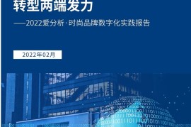 爱分析：2022年时尚品牌数字化实践报告-2025最新seo资料