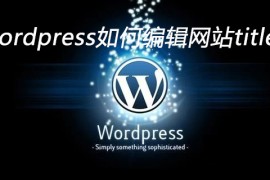 wordpress如何编辑网站titlebar